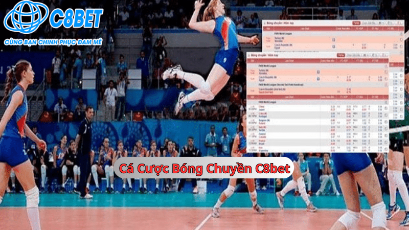 Cá cược bóng chuyền C8bet