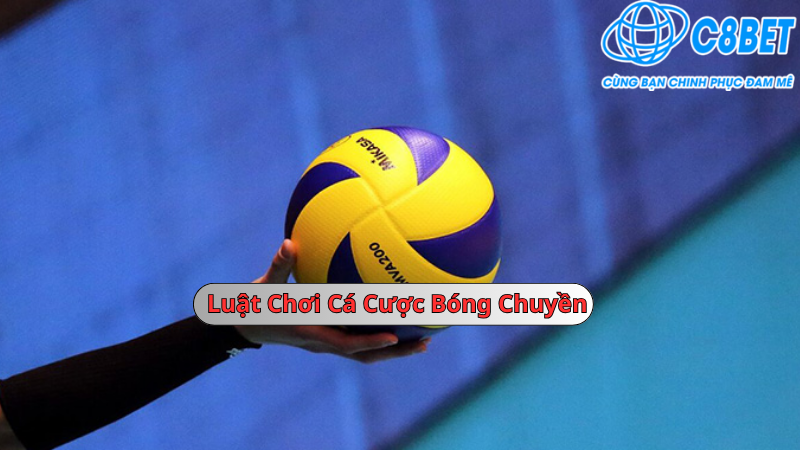 Luật chơi cá cược bóng chuyền C8bet