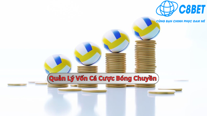 Quản lý vốn cược bóng chuyền C8bet